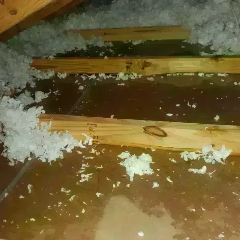 Attic Water Damage in South Euclid, OH