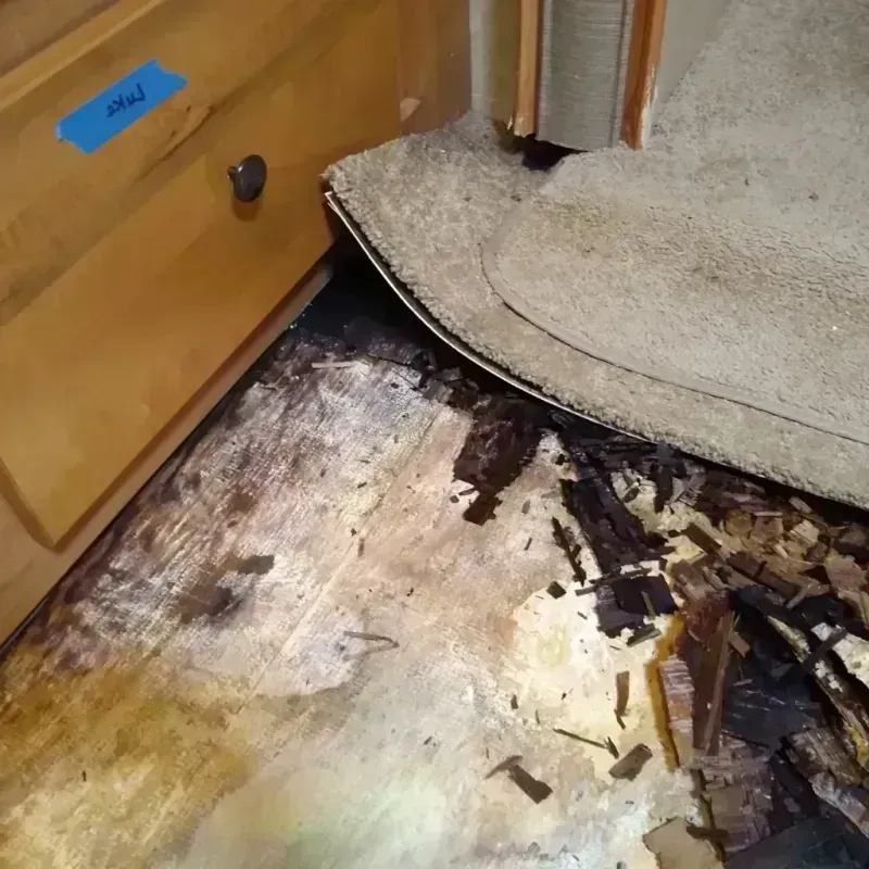 Wood Floor Water Damage in South Euclid, OH